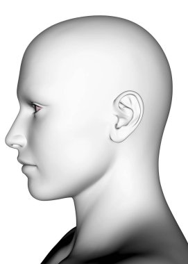 Beyaz İnsan Yüzü - 3D