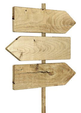 Geleceğin yönünü seç - 3B