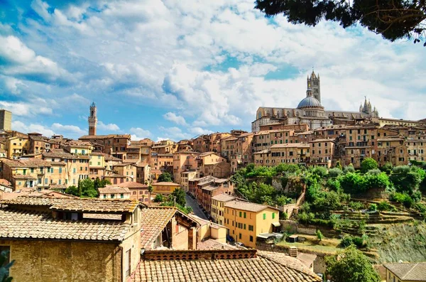 Гарне Коло Сієни Італії — стокове фото