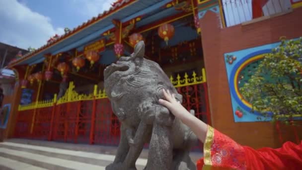 Young Chinese Girl Walking Happy Face While Visiting China Town — Stok video