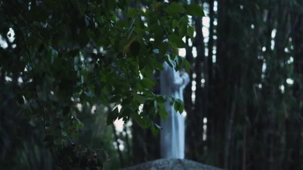 Muslim Man Praying Forest While Standing Big Rock Wearing White — Video