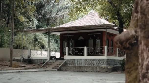 Brown Mosque Middle Forest Brown Bricks Village — Αρχείο Βίντεο