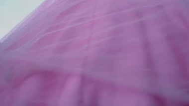 A Princess in pink dress down the stairs from her royal palace to see the outside world