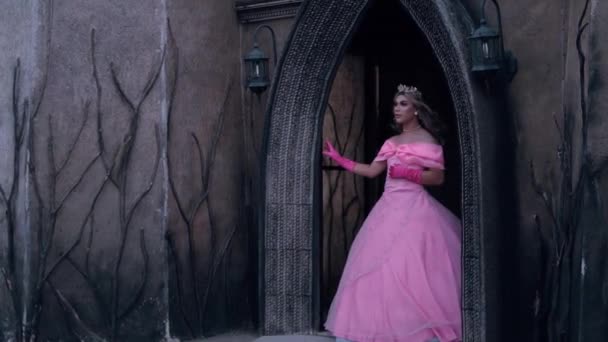 Queen Standing Front Her Palace While Wearing Pink Dress Crown — Vídeo de Stock