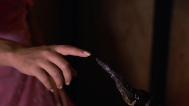 A Princess's finger touching a sharp brown horn in the dark night inside the castle