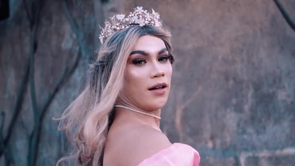 Beautiful Princess Enjoying Her Life While Wearing Pink Royal Dress — Stok video