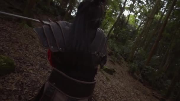 Combat Chinese Woman Armored Costume Sword Jungle — Stockvideo