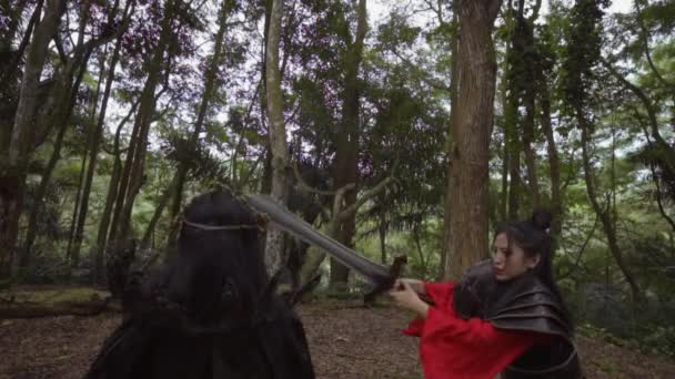 Chinese Woman Fighting Each Other Silver Sword While Wearing Costume — Stockvideo
