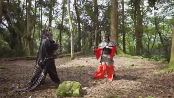 Armored Chinese Women Fighting Each Other Halloween Costumes Forest Morning — Stockvideo