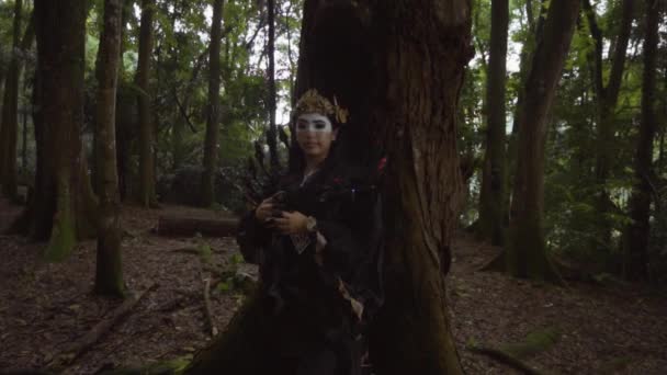 Beautiful Asian Woman Chillin Tree Black Costume Forest — Video Stock