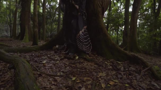 Beautiful Asian Woman Chillin Tree Black Costume Forest — Stockvideo
