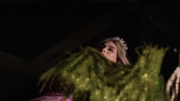 Beautiful Princess Sleeping Her Beauty Crown Pink Dress Her Room — Stockvideo