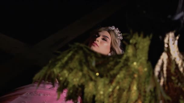 Beautiful Princess Sleeping Her Beauty Crown Pink Dress Her Room — Stock video