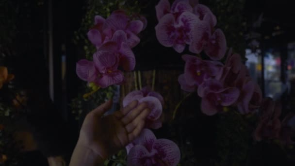 Азиатская Принцесса Цветочной Тиарой Голове Стоящей Играющая Цветами Дворце — стоковое видео