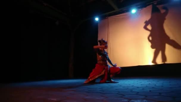 Ljuddansös Ackompanjerar Den Kvinnliga Dansaren För Att Röra Sig Tillsammans — Stockvideo
