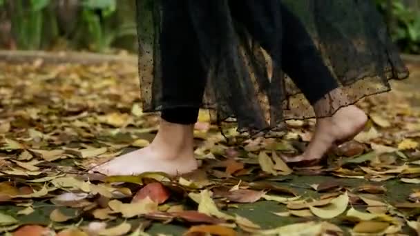 Pie Mujer Caminando Parte Superior Hoja Amarilla Marrón Selva Durante — Vídeos de Stock