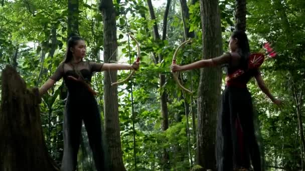 森の中で矢で戦いながら金の弓を狙う女俳優のカップルが — ストック動画