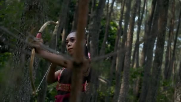 清晨在森林里打猎时 射箭的女人用箭和弓箭把敌人吓得魂飞魄散 — 图库视频影像
