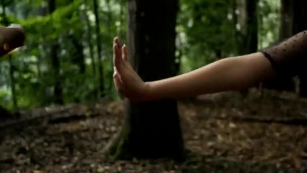 Duas Mulheres Lutando Entre Com Movimentos Dança Tradicionais Floresta Segurando — Vídeo de Stock