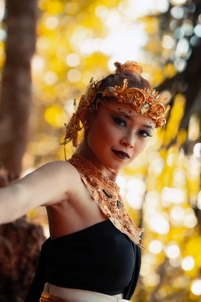 Portrait Asian Woman Wearing Gold Crown Gold Necklace Her Gorgeous — Stock Photo, Image