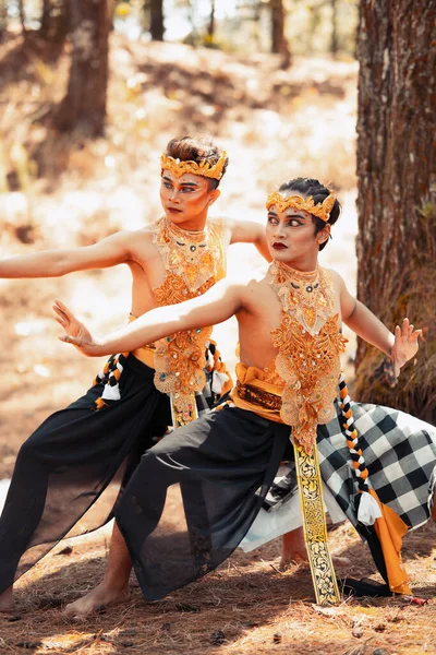Zwei Balinesische Männer Tanzen Gemeinsam Vor Dem Baum Während Sie — Stockfoto