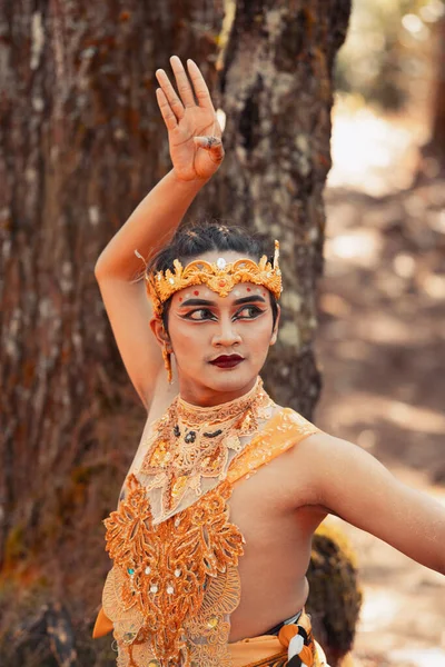 Altın Tacı Olan Bir Kral Ormanda Ağacın Önünde Dans Ediyordu — Stok fotoğraf