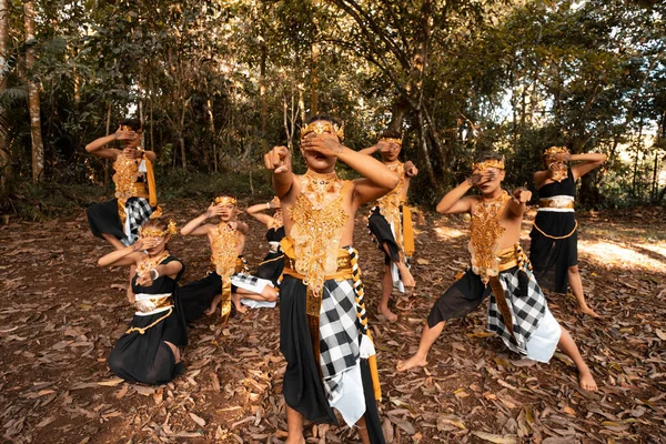 Balinese dancers with golden costumes and stripped pants dance together with the dead brown leaves in the yard inside the jungle