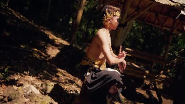Балиец Медитирует Камне Окружении Зеленого Дерева Коричневой Почвы Внутри Джунглей — стоковое видео