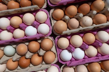 Kutularda taze organik yumurtalarla birlikte yumurta kutusunu aç.