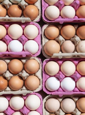 Kutularda taze organik yumurtalarla birlikte yumurta kutusunu aç.