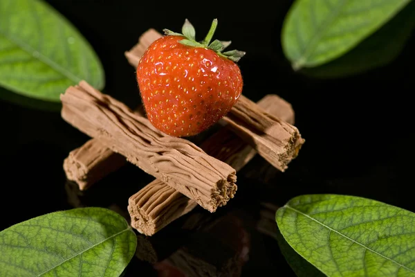 fresh red berries on a black background with a sprig of fruits