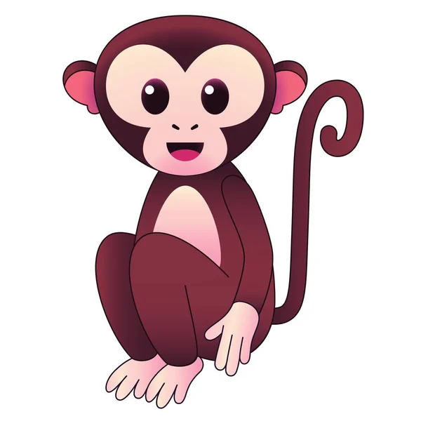 Monkey isolated on white background