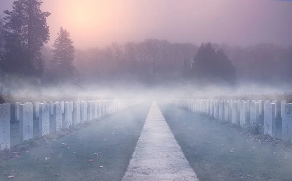 Dramatic Misty Morning Graveyard Rows Gravestones War Cemetery Schoonselhof Antwerp — стоковое фото