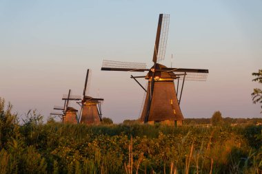 Altın saat günbatımında Kinderdijk 'teki geleneksel Hollanda yel değirmenlerinin manzarası
