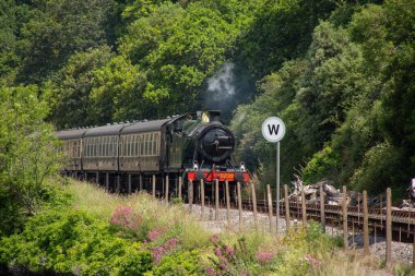 Steam train on green hills. Dartmouth Steam Railway is a heritage railway on the former Great Western Railway