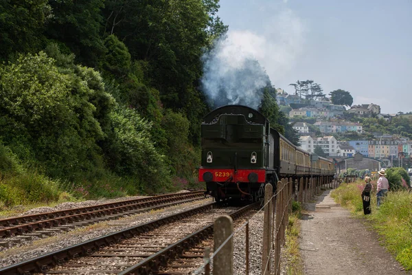 People Looking Steam Train Driving Tracks While Blowing Steam Green — Stock Photo, Image