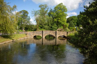  Beautiful small bridge over calm water and green trees in summer at Arlington