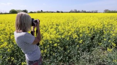 Sarışın kadın fotoğrafçı, Çiçek açan tecavüz tarlası ve Sarı Tecavüz Çiçekleri 'nin fotoğrafını çekiyor.