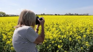 Blonde woman photographer taking photos of Blooming Rapeseed canola Field and of Yellow Flowers of Rape