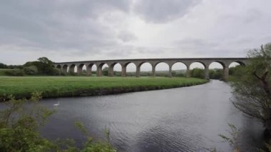 Swan swimming on the river towards Arthington viaduct near Otley on a cloudy day