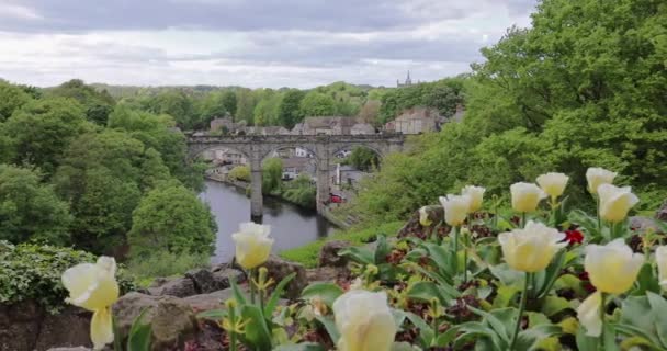 Yellow Flowers Trees Swaying Wind Knaresborough Viaduct River Nidd Background — Video