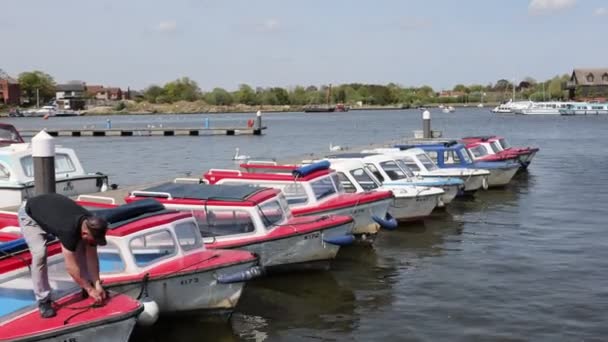 Man Untying White Tourist Boats Oulton Broad Lowestoft Sunny Day — Stock Video