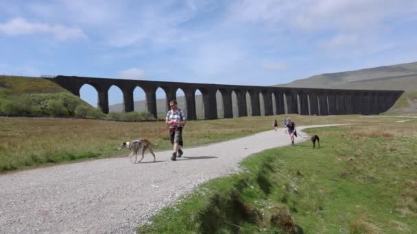 People Walking Dogs Load While Walking Gravel Road Viaduct Batty — Stockvideo