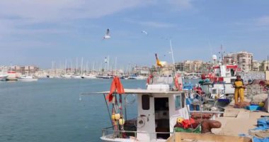 Fisherman working on fishing nets next to boat with Spanish flag while sea gulls are flying around