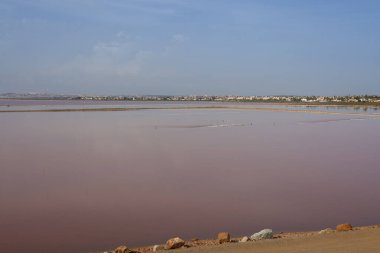 Torrevieja Pembe Gölü, Salinas de Torrevieja manzarası Costa Blanca, İspanya Alicante ili