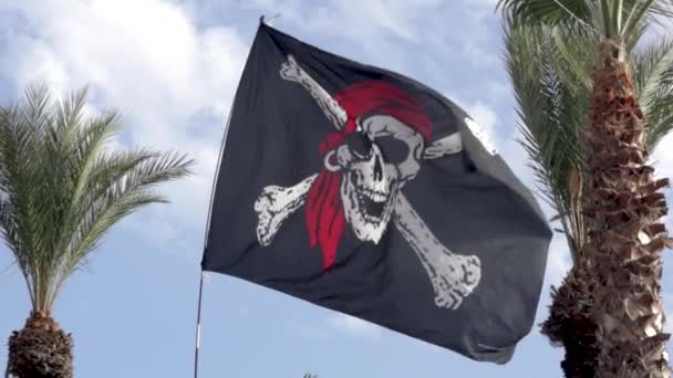 Pirate Flag Waving Wind Front Palm Trees Slow Motion — Stock Video