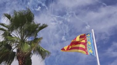 Valencia halkı bayrağını gün boyunca havai fişeklerle sallıyor ve arka planda palmiye ağacını yavaş çekimde sallıyor.