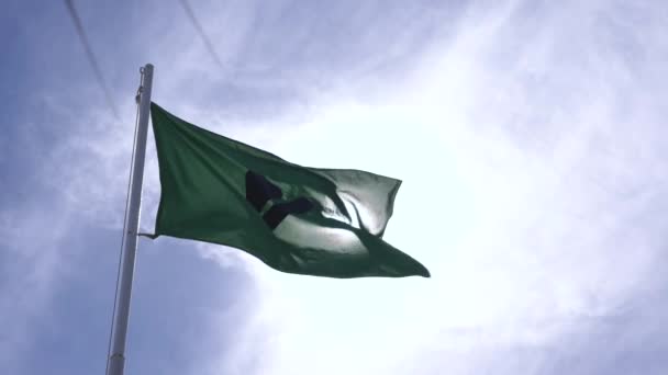 Groene Vlag Veilig Slow Motion Met Zon Achter Vlag Wind — Stockvideo