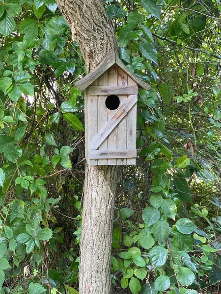 Wooden Birdhouse Green Trees Background Woods — Stockfoto