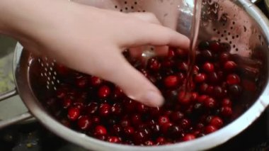 Kafkas kadınları, metal kevaşe ile akan suyun altında kızılcık yıkıyor.